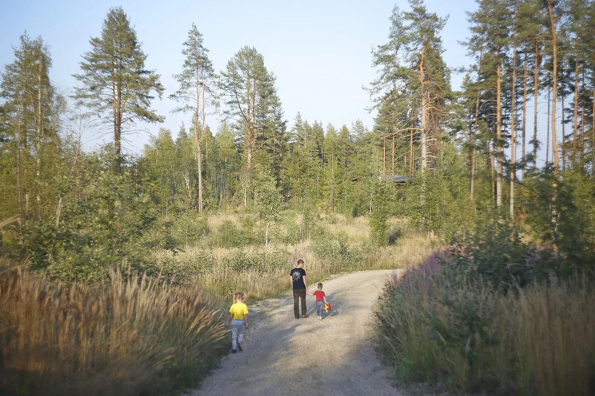 Organiser un road trip en famille sans stress : guide ultime 2026