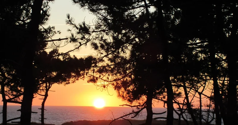 Le top 6 des destinations nature en France pour camper l'été
